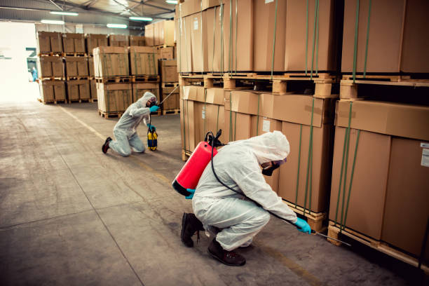 Best Ant Control Services  in Dravosburg, PA