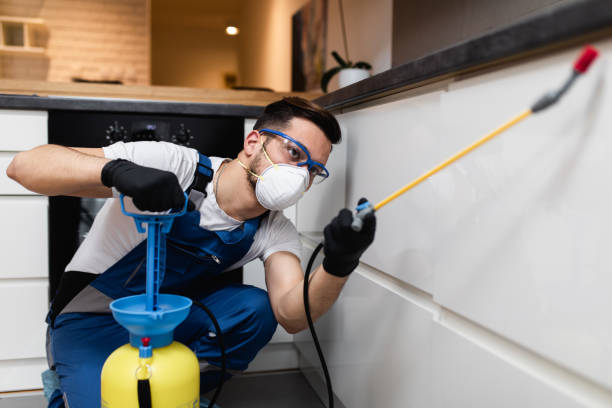 Trusted Dravosburg, PA Pest Control Experts