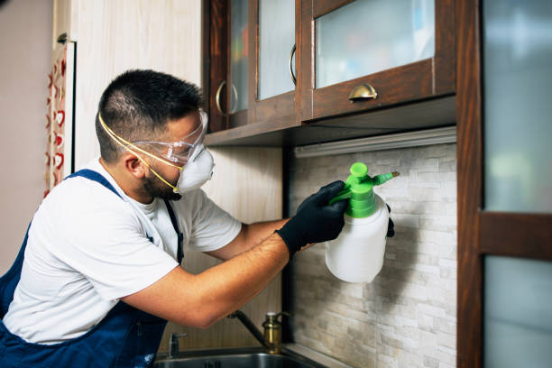Best Pest Prevention Services  in Dravosburg, PA