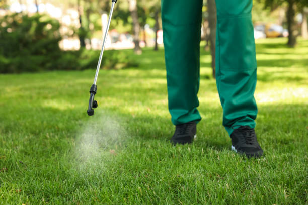 Best Affordable Pest Control Services  in Dravosburg, PA