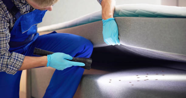 Best Best Pest Control Companies  in Dravosburg, PA