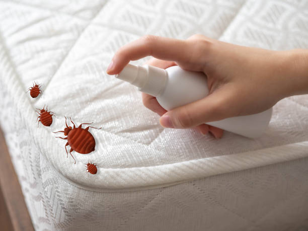 Best Cockroach Control Services  in Dravosburg, PA