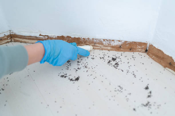 Best Pest Control for Businesses  in Dravosburg, PA