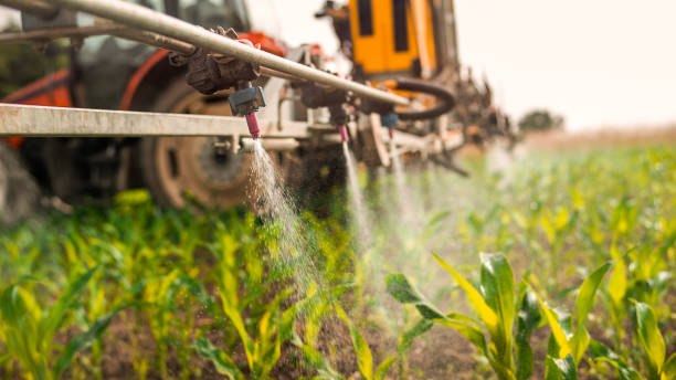 Best Pest Inspection Near Me  in Dravosburg, PA